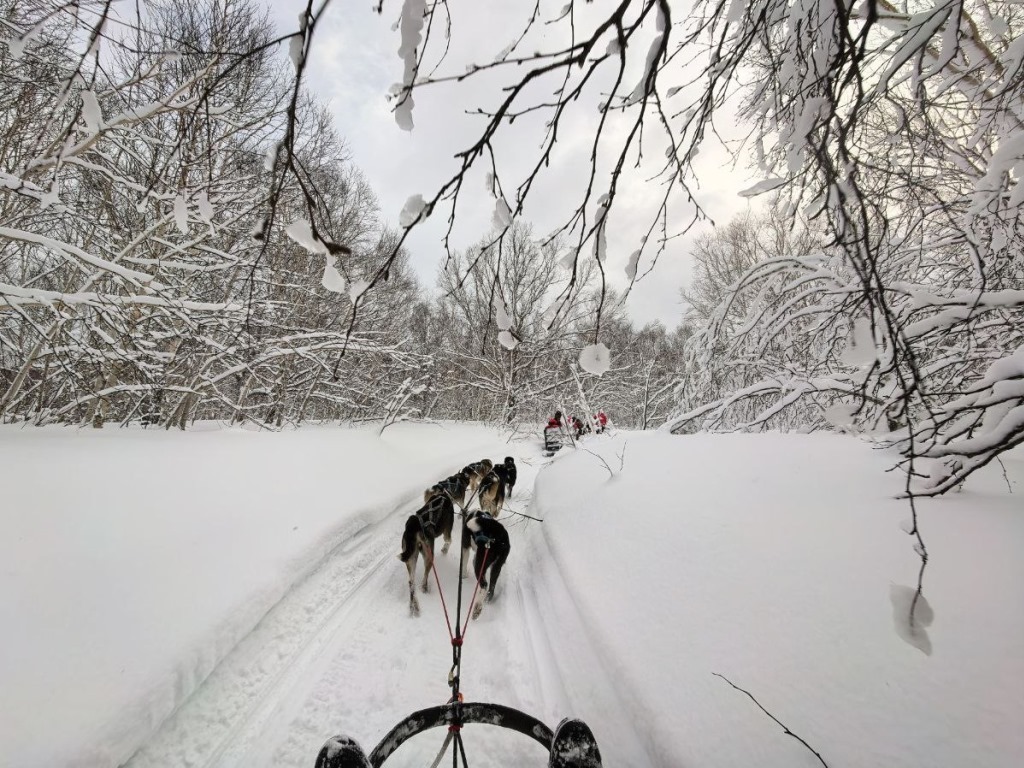 Bewertung auf eine Reise nach Russland