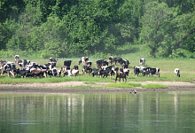 Jenissei Flussreisen in Sibirien Russland