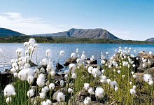 Putorana-Hochebene, Permafrostboden, Jenissej, Sibirien