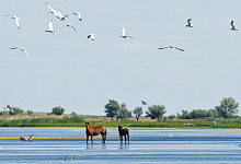 Astrachan, Russland Wolga Flussreisen