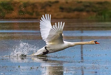 Die Wolga Flusskreuzfahrt