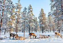 Reisen nach Finnland. Winterzauber in Lappland