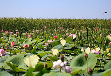 Astrachan, Russland Flussreisen