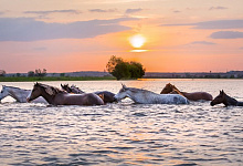 Die Wolga Flusskreuzfahrt, Russland